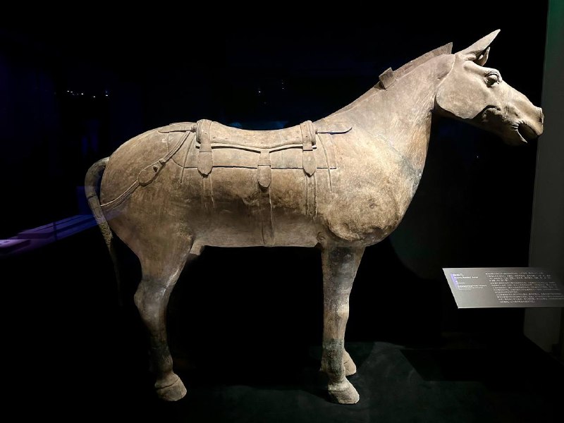 D1 陕西历史博物馆秦汉馆当我说一个博物馆无聊的时候，那它是真的无聊吗？错误的，当你带一个现充去漫展