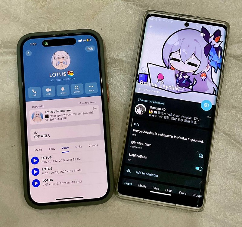 约球 战绩 1