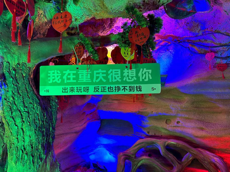 反正也挣不到钱🤡#重庆