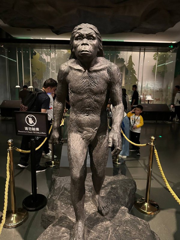 D3 上 陕西历史博物馆超多导游，甚至还有很多一排排的学生在这里上课背书拍的最多的竟然是别人的课程作业这个博物馆还挺难约的，约了很多天才能约得上，听说本地人天天抢都很难抢#真西安旅游D3 上 陕西历史博物馆超多导游，甚至还有很多一排排的学生在这里上课背书拍的最多的竟然是别人的课程作业这个博物馆还挺难约的，约了很多天才能约得上，听说本地人天天抢都很难抢#真西安旅游